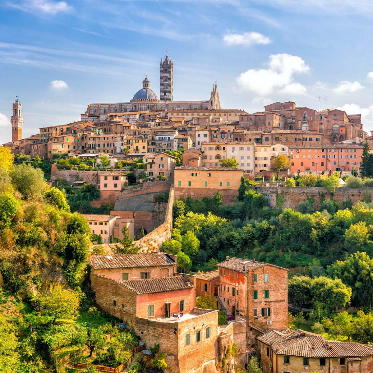 The Vines Montalcino Blending Escape - Superior Room