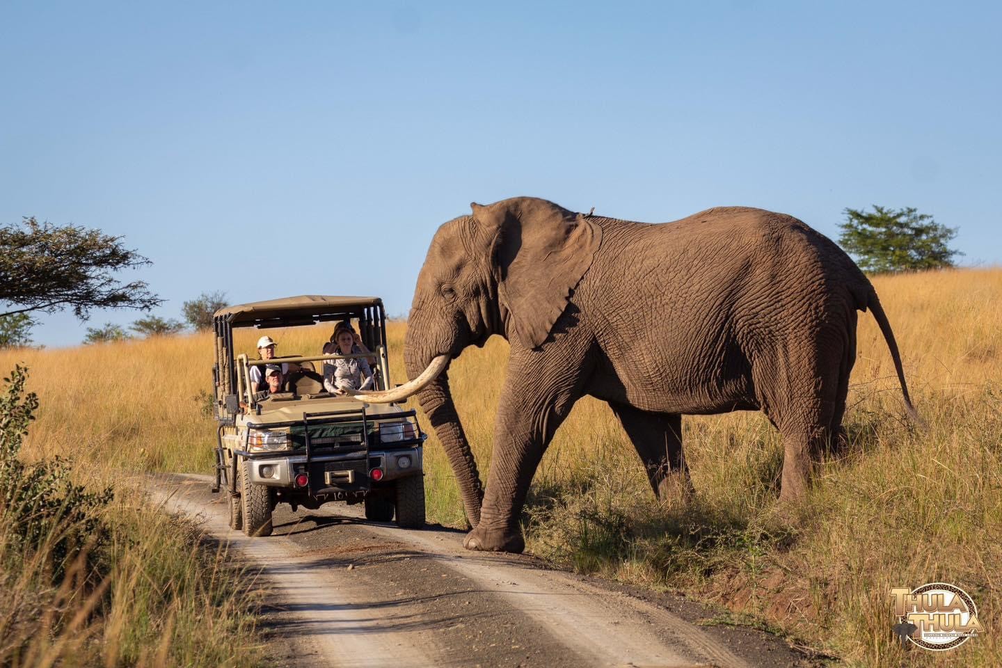 Unique Six-Night Luxury African Safari for Two