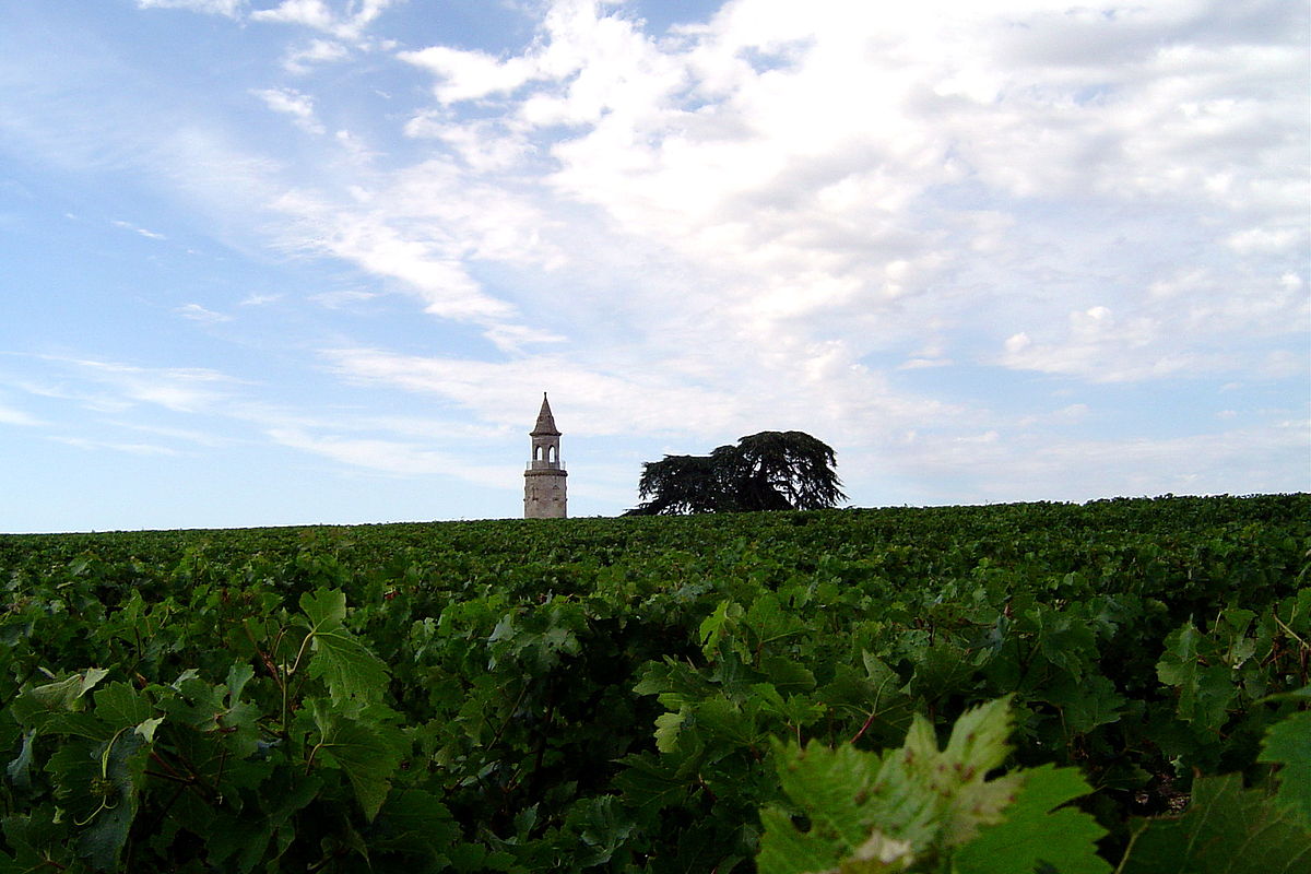 Three Night Vineyard Living in the Medoc Region of Bordeaux